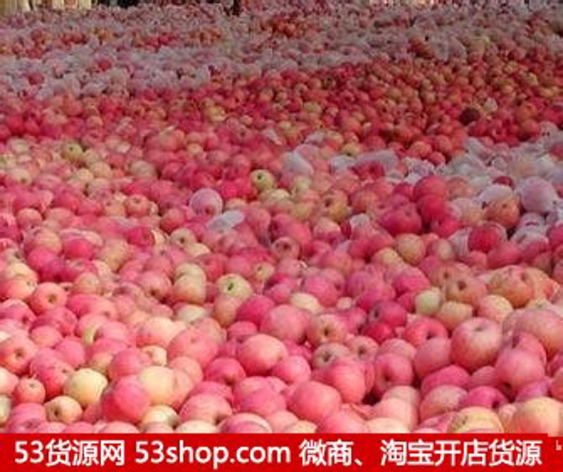 批发供应